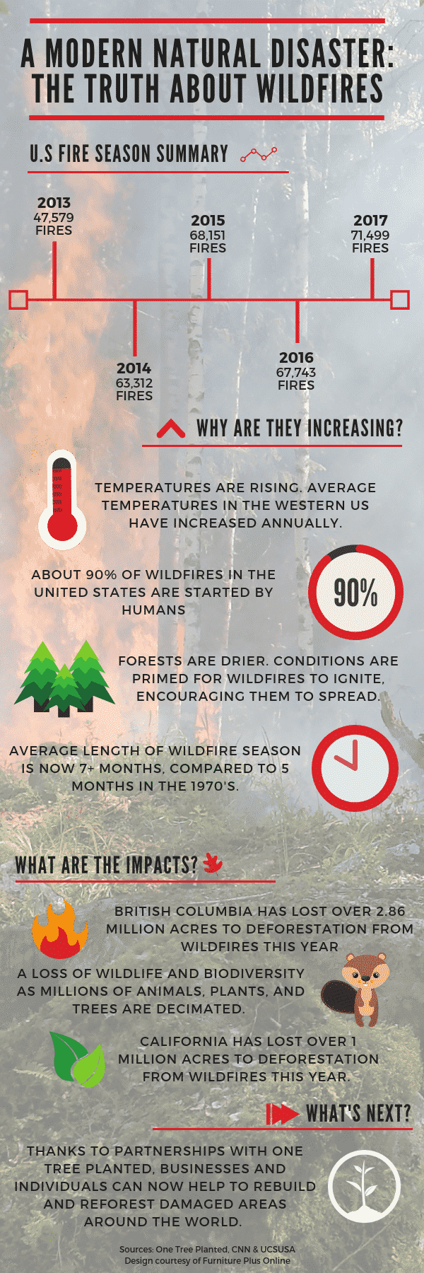 Preventing natural disasters from becoming human tragedies 1