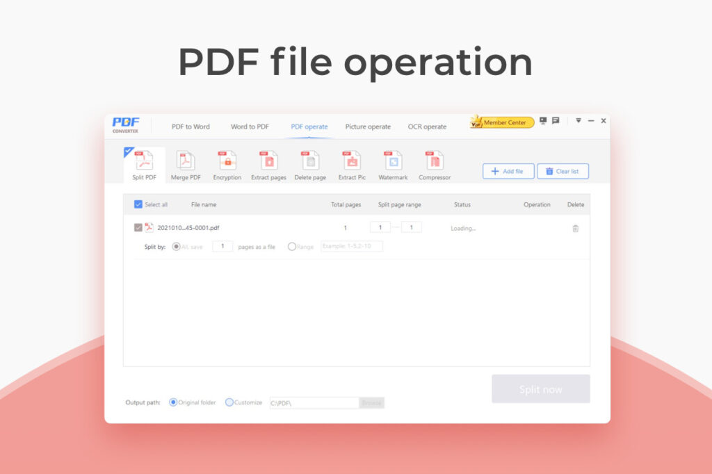 PDF