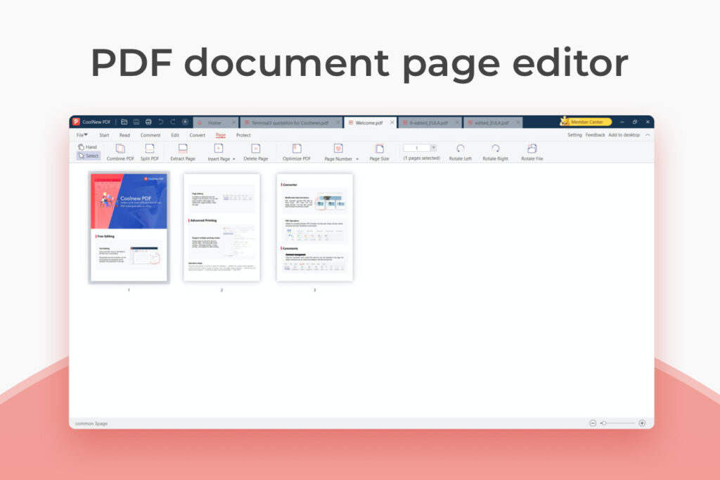 PDF